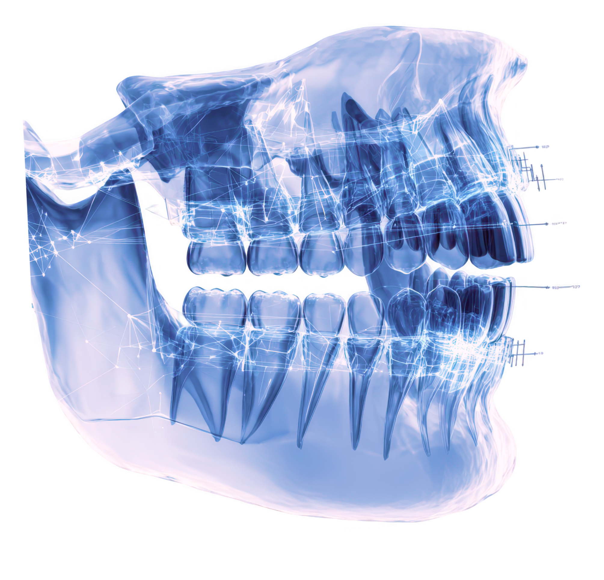 Full-Arch Implant Rehabilitation Centres Across British Columbia